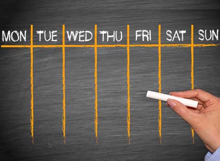 See what is on this week